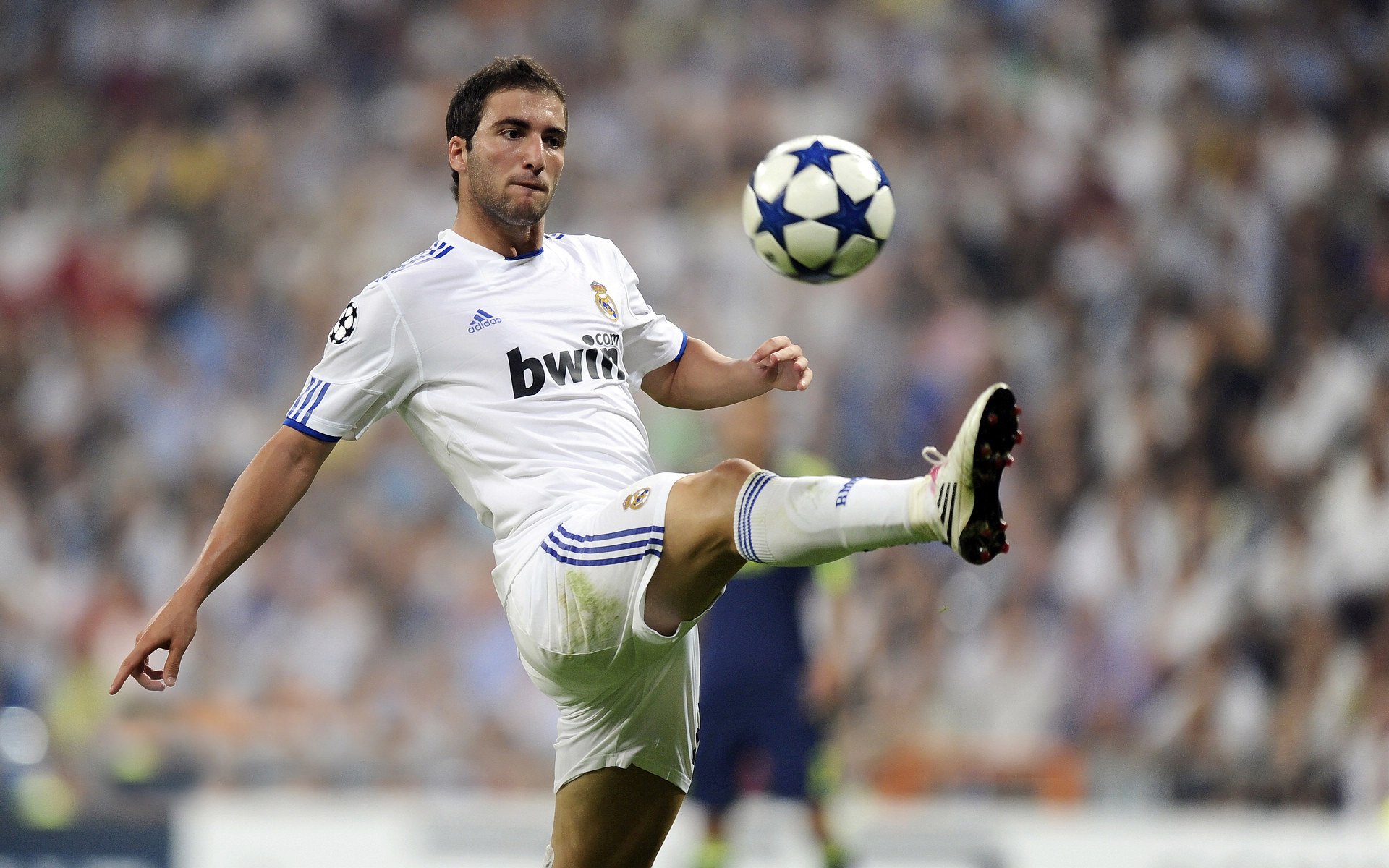 球迷文化研究报告发布，展望全球化发展趋势，球迷文化什么意思