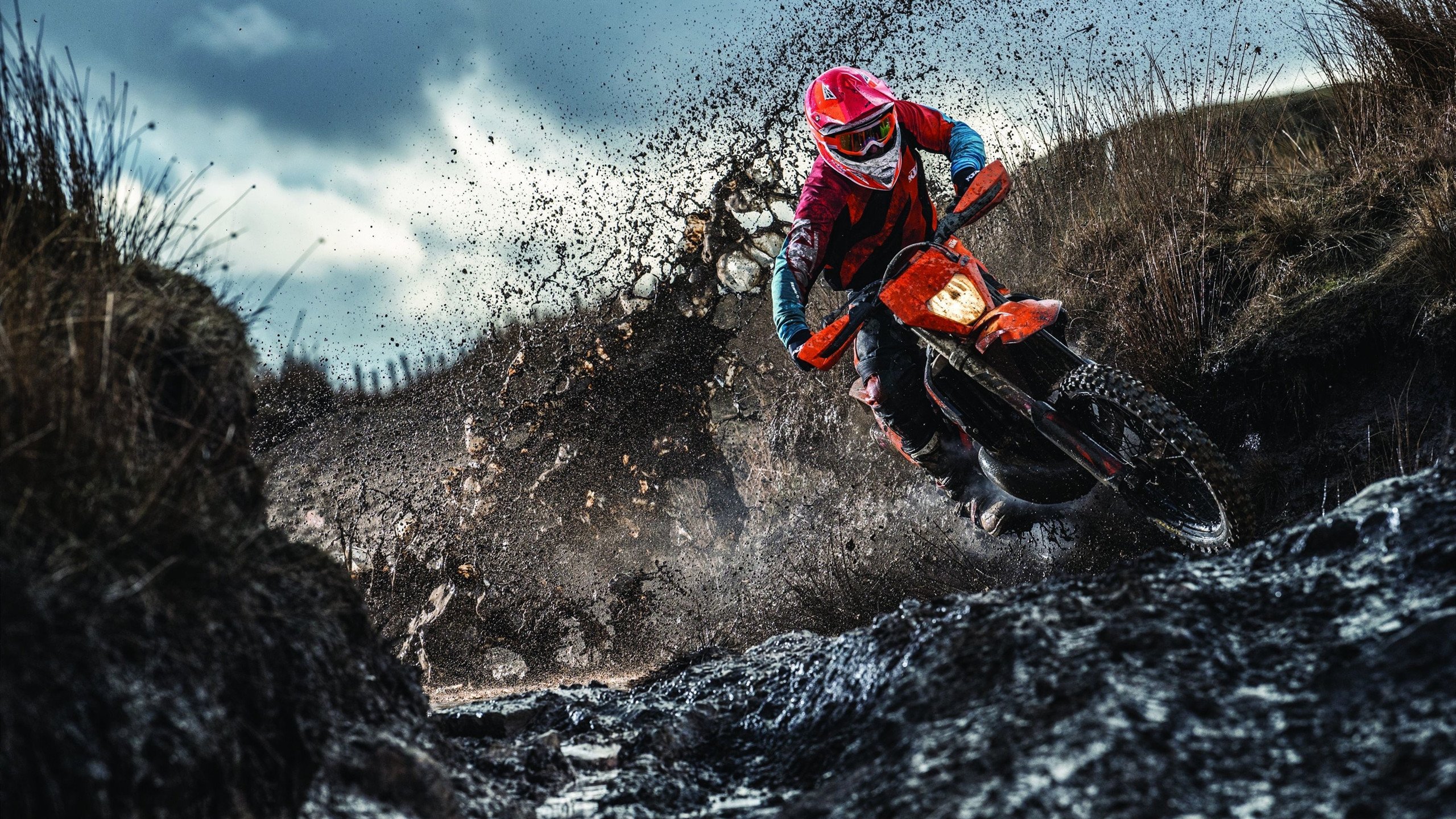 美国女将包揽100仰冠亚，美国女排名将